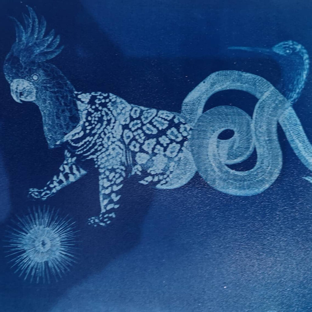 Atelier des 4 jeudis arts plastiques et expérimentation Sandrine Bridier artiste sérigraphe cyanotypes bleu