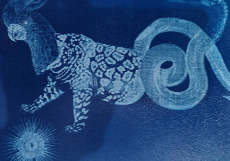 Atelier des 4 jeudis arts plastiques et expérimentation Sandrine Bridier artiste sérigraphe cyanotypes bleu