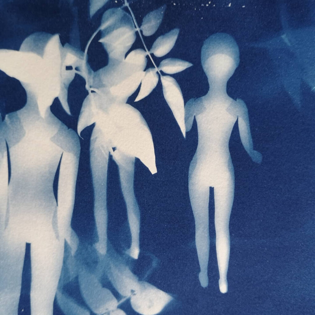 Atelier des 4 jeudis arts plastiques et expérimentation Sandrine Bridier artiste sérigraphe cyanotypes bleu