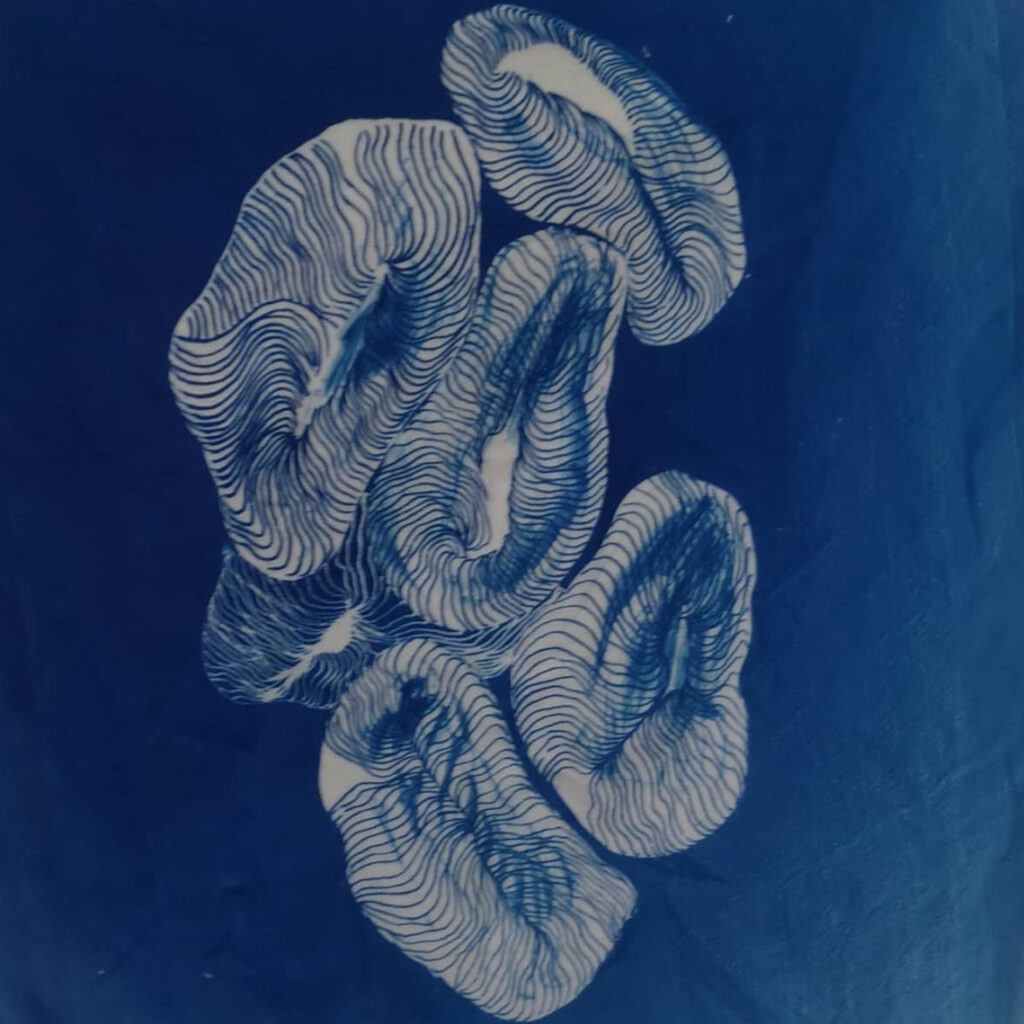 Atelier des 4 jeudis arts plastiques et expérimentation Sandrine Bridier artiste sérigraphe cyanotypes bleu