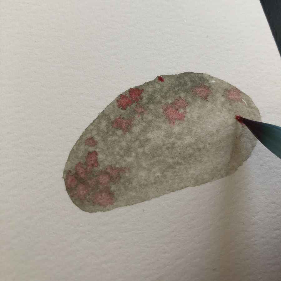 Aquarelle Carole Xenard artiste Atelier des 4 jeudis